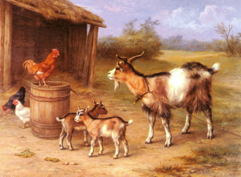 A Farmyard scene with goats and chickens.jpg