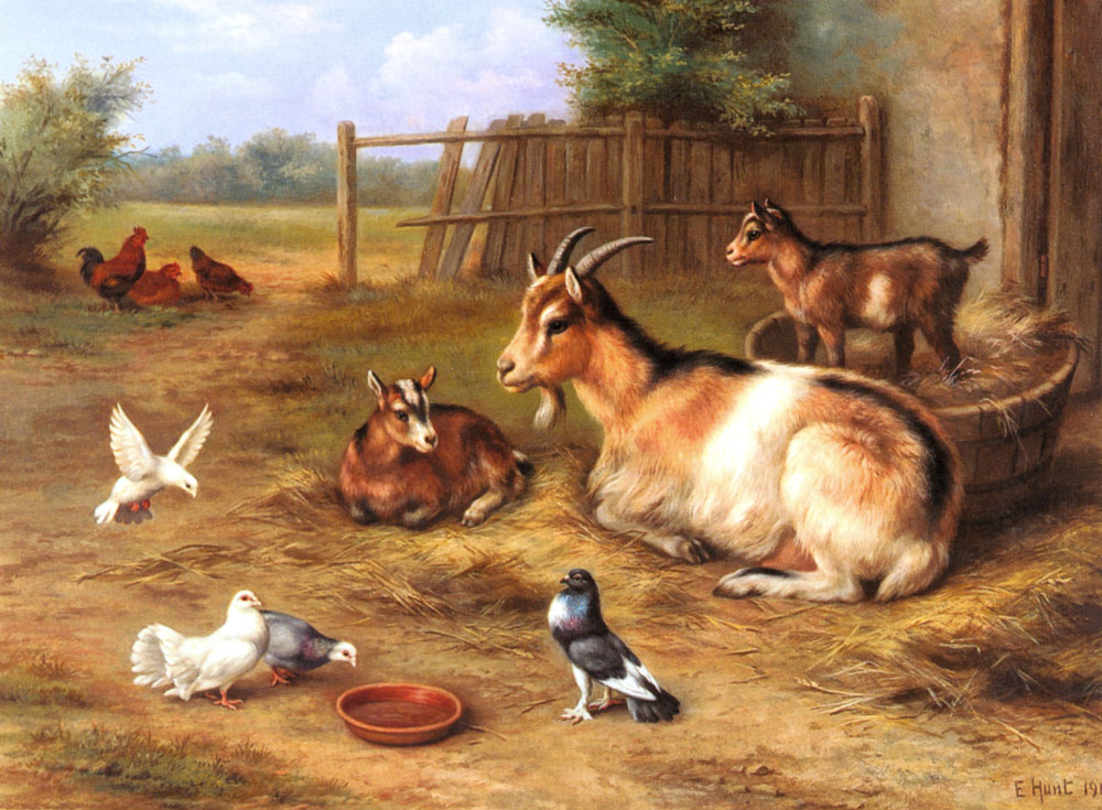 A Farmyard Scene with goats, chickens, doves.jpg