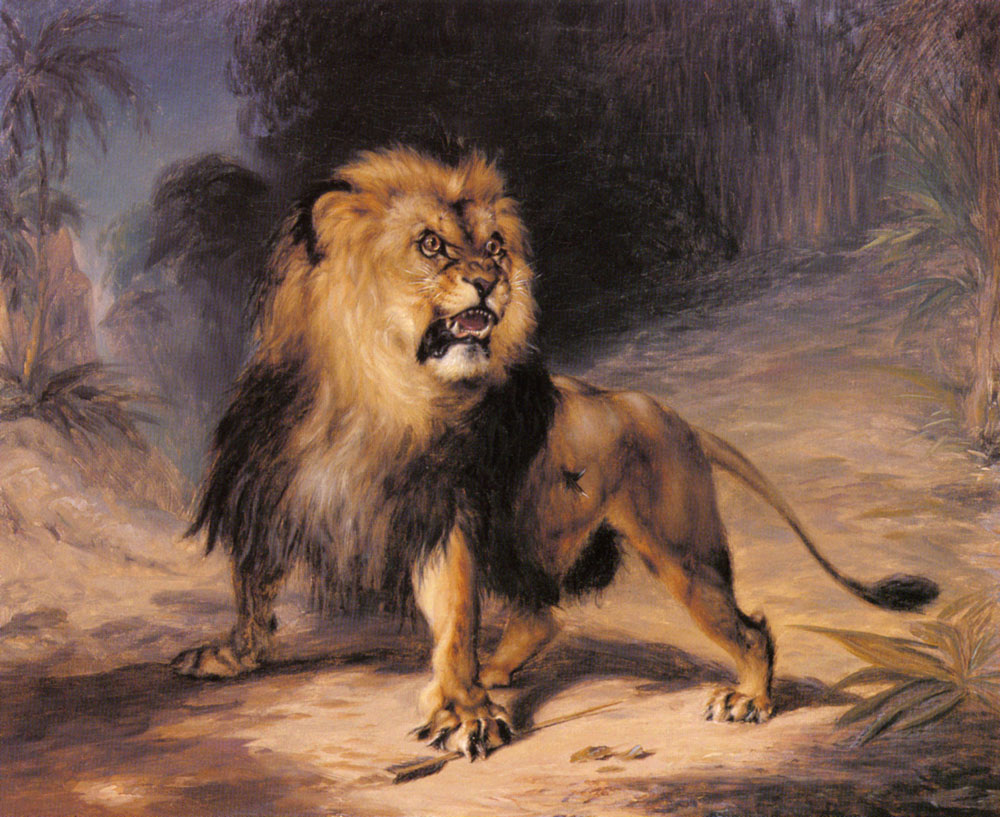 A Lion.jpg