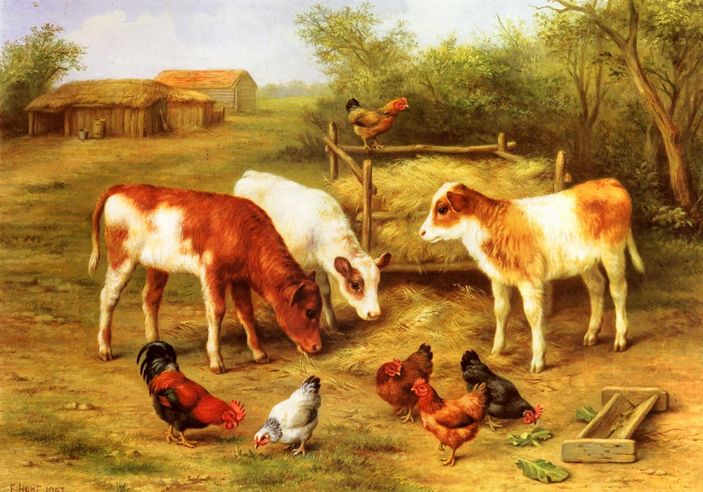 Calves and Chickens feeding in a Farmyard.jpg