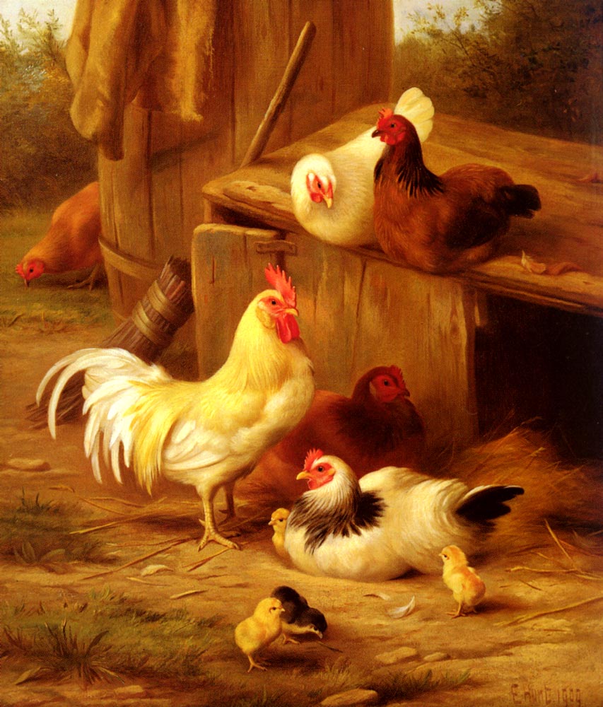 Chickens And Chicks.jpg