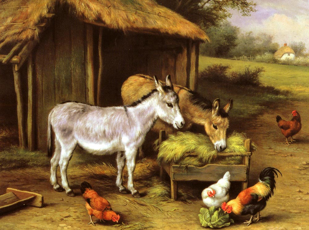 Chickens and Donkeys feeding outside a Barn.jpg