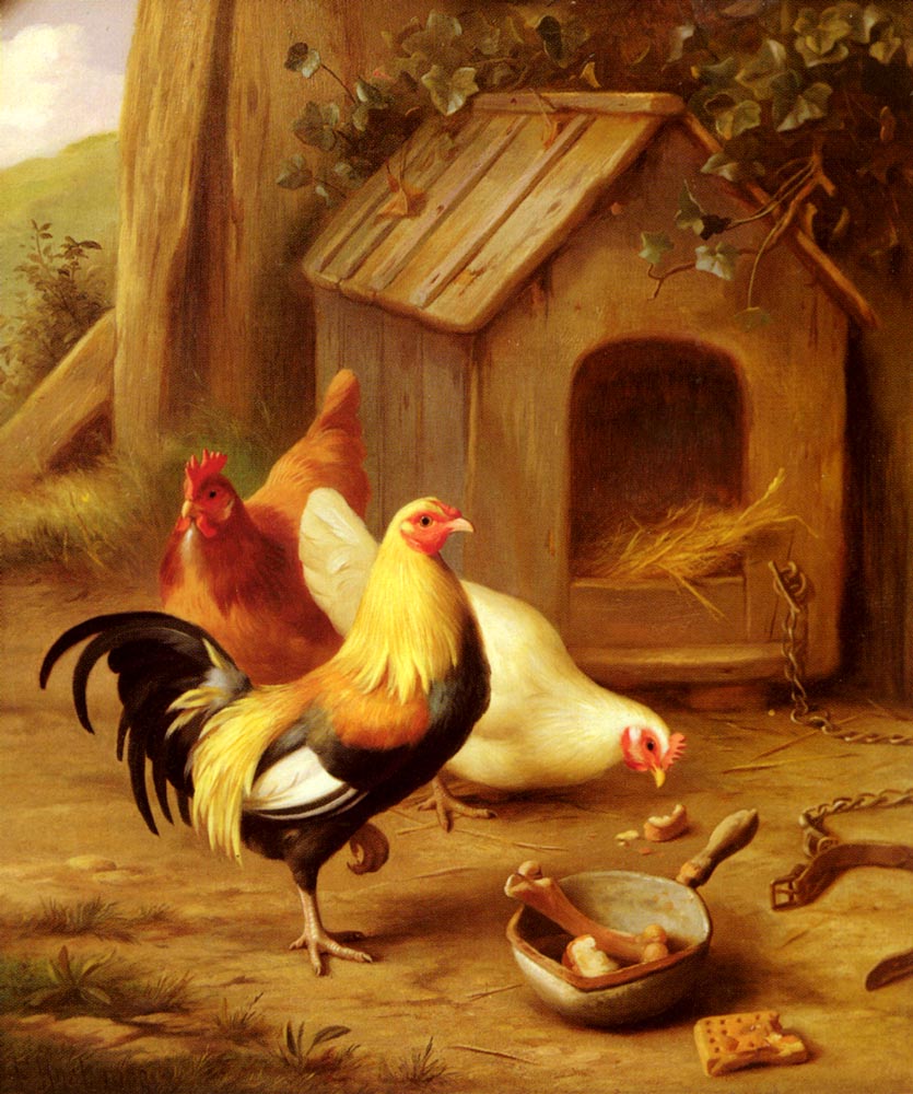 Chickens Feeding.jpg