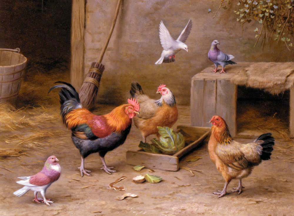 Chickens In A Farmyard.jpg
