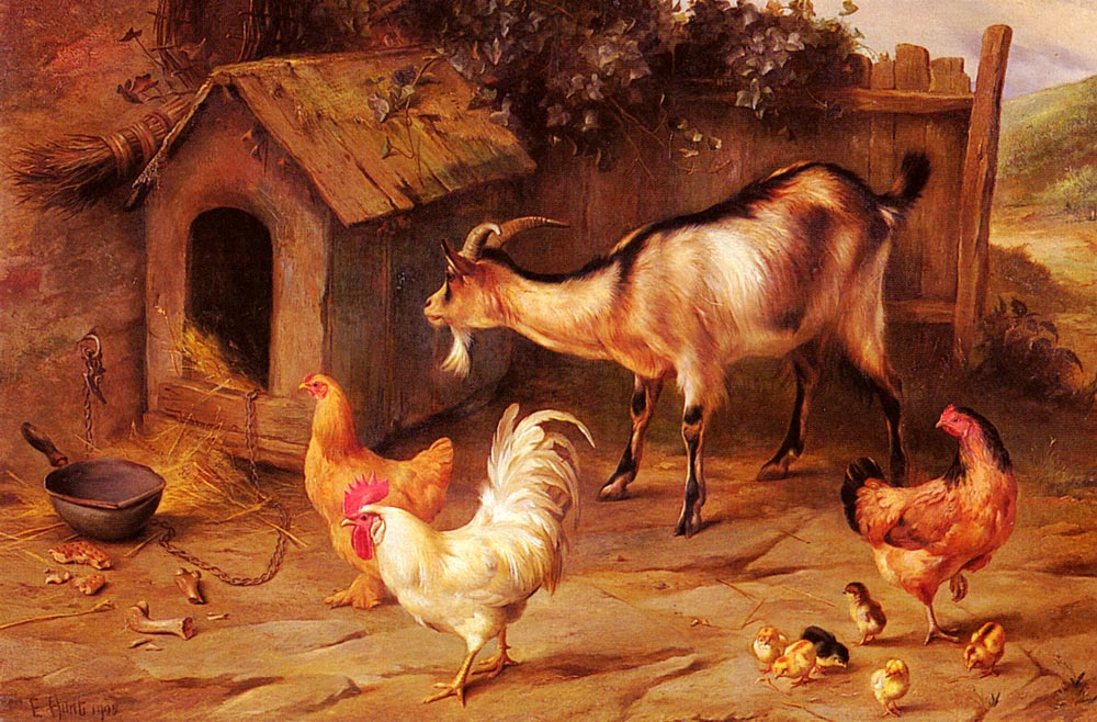 Fowl, Chicks And Goats By A Dog Kennel.jpg