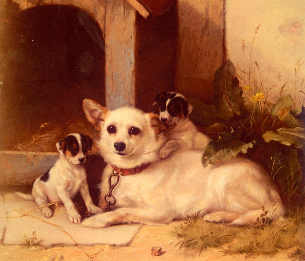Mother And Puppies Resting.jpg