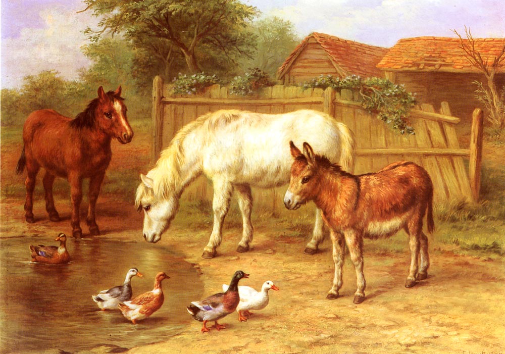 Ponies, Donkey and Ducks in a Farmyard.jpg