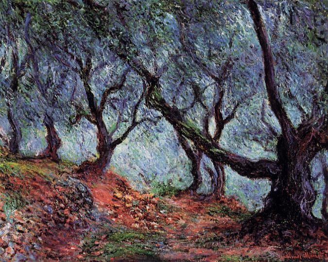Grove of Olive Trees in Bordighera.jpg